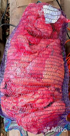 Мясо для собак