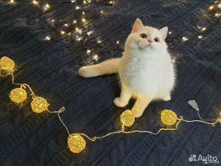 Гирлянда с шариками интерьерная тёплый белый цвет