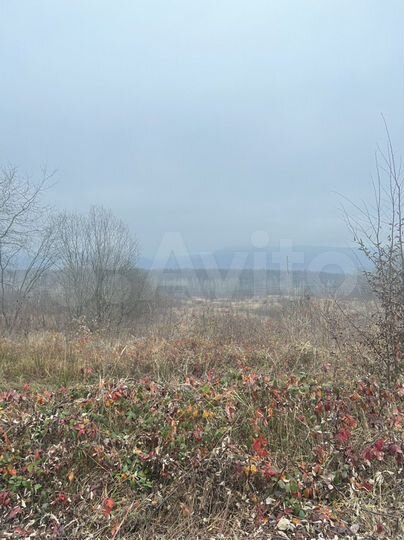 Участок 9,9 сот. (СНТ, ДНП)