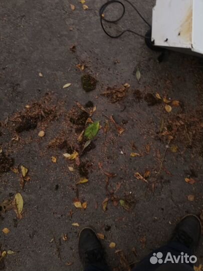 Вытяжка для кухни бу