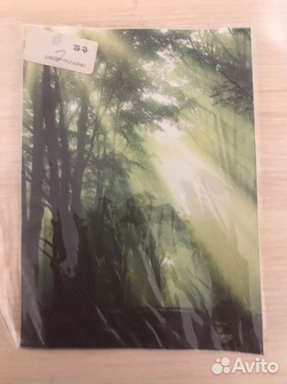 Картина без рамки 13 на 18
