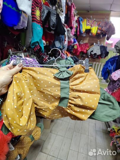 Одежда для собак