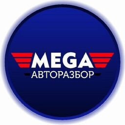 MEGA_AVTORAZBOR