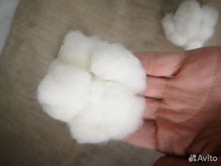 Головки хлопка