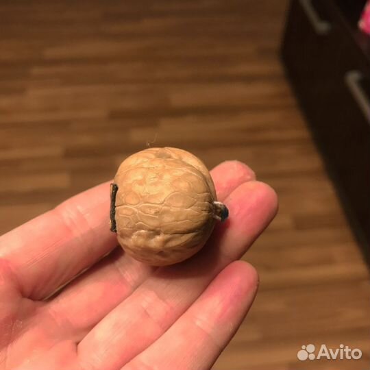 Миниатюра в орешке