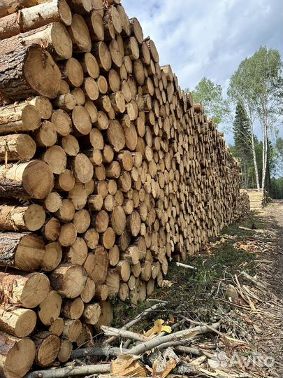 Лес кругляк пиловочник