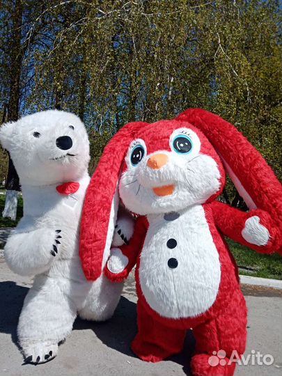 Белый мишка поздравление/Панда, Зайчик/Аниматор