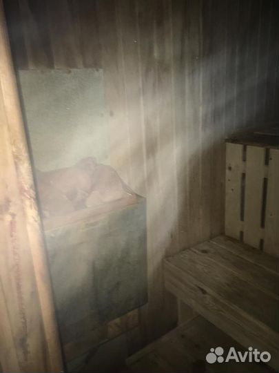 Мобильная баня