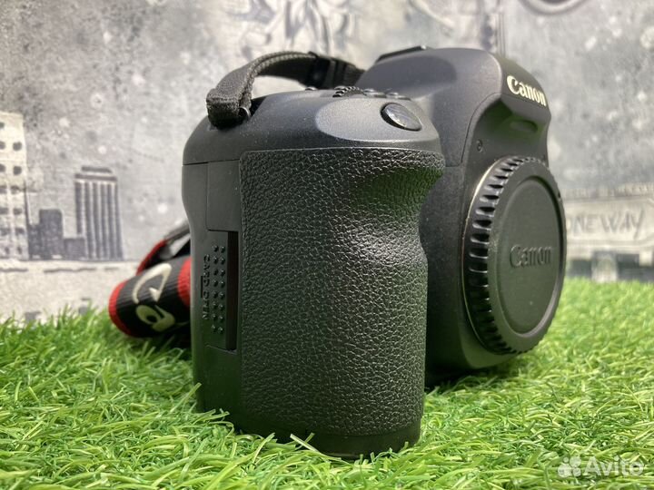 Canon EOS 5D Mark II (34.400 кадров)