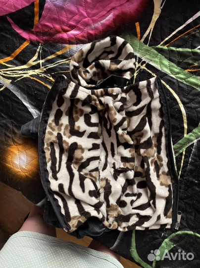 Одежда для маленьких собак