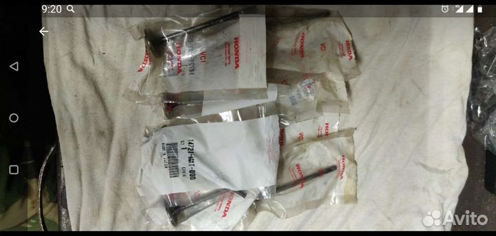 Honda cbr 1100 xx blackbird