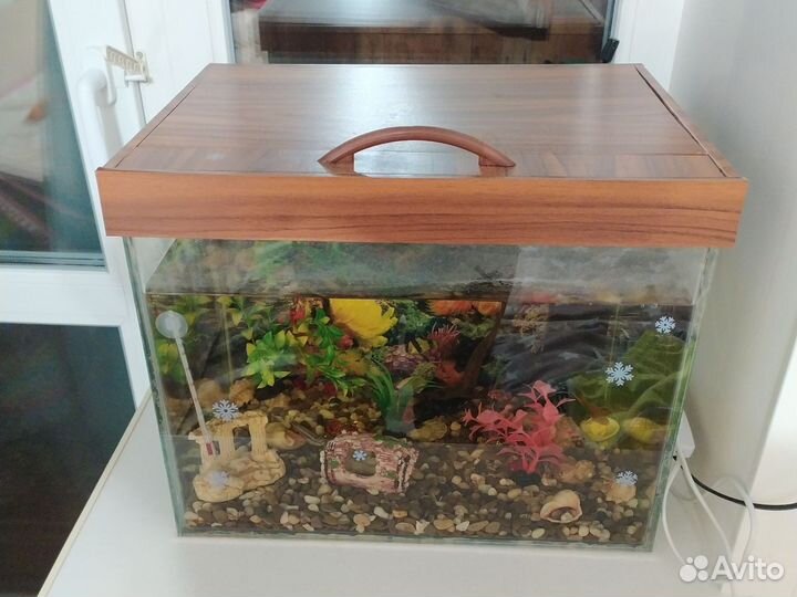 Аквариум с рыбками