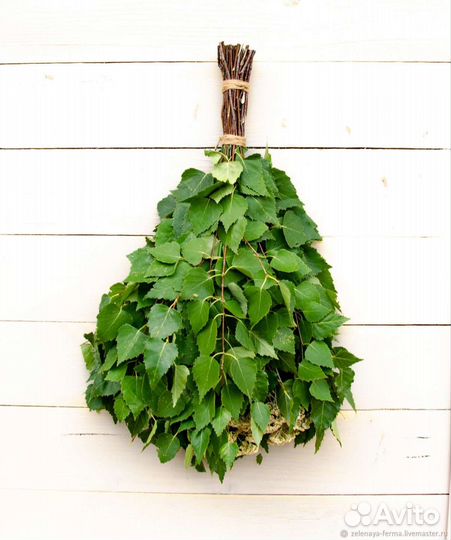 Веник берёзовый