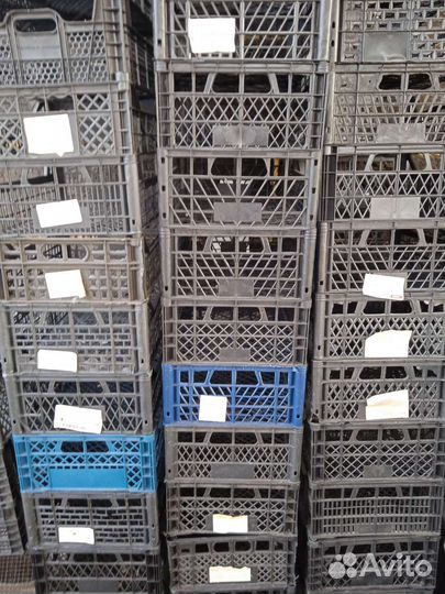 Пластиковые ящики бу