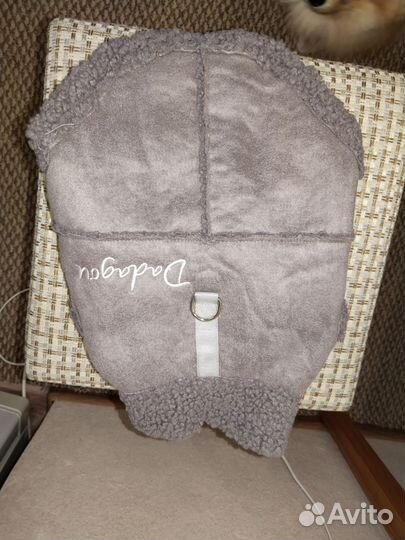 Обувь и одежда,шлейка,поводок