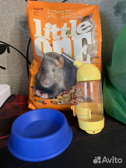 Для крысы/хомяка