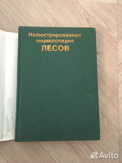 Иллюстрированная энциклопедия лесов
