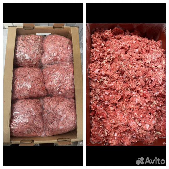 Товары для животных