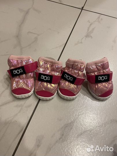 Обувь для собак