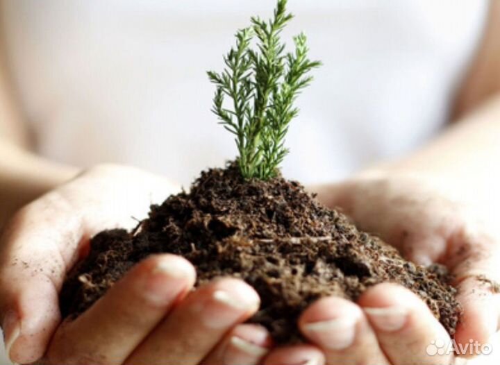 Почвогрунт