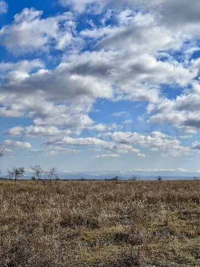 Участок 7 сот. (СНТ, ДНП)