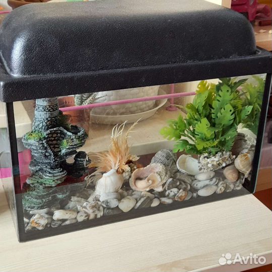Аквариум 7 литров, урашения,корм и жидкостьдляводы