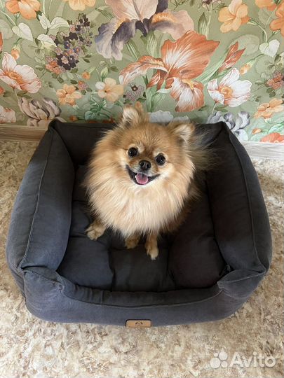 Леженка для собак и кошек