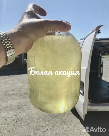 Мёд подсолнечный