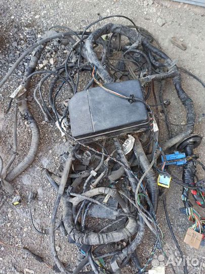 Подкапотная проводка Форд Мондео 3 АКПП 2.0