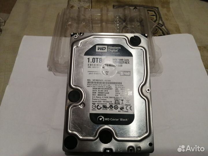 Hdd 1tb western digital