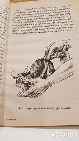 Книга шиншилла