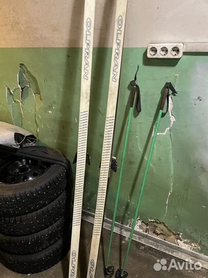 Беговые лыжи