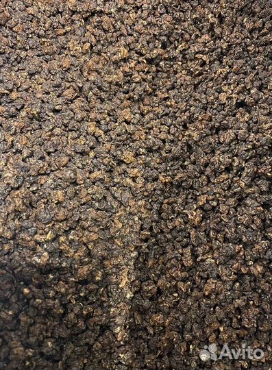 Чай Габа Алишань