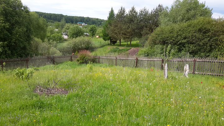 Участок 12 сот. (СНТ, ДНП)