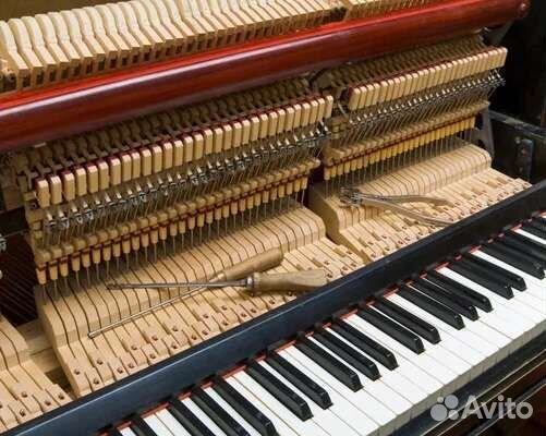 Настройка пианино и роялей