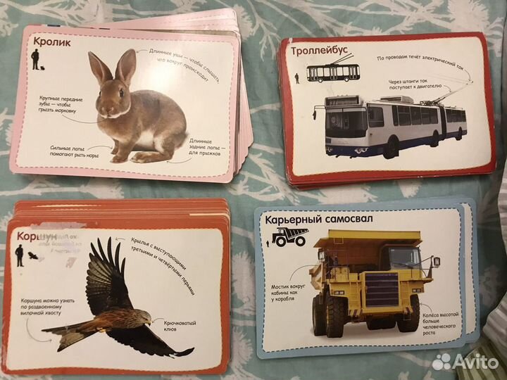 Карточки транспорт, животные, домашние питомцы