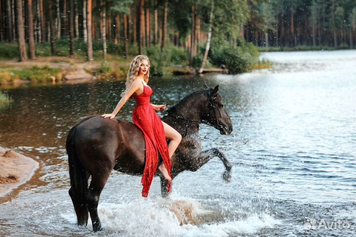 Фотосессия с лошадью