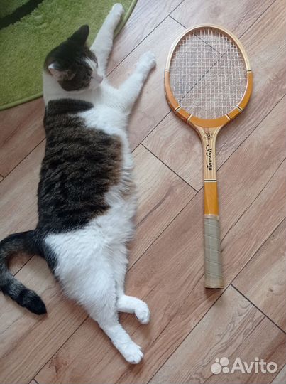 Ракетки новые для большого тенниса СССР Украина