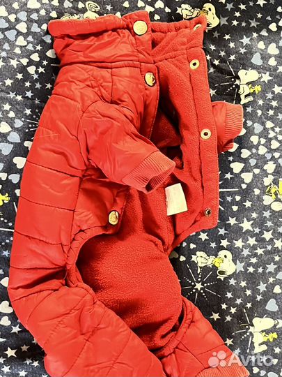 Зимний комбинезон для маленькой собаки