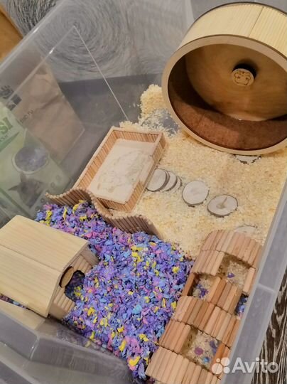 Колесо для хомяка+все необходимое для жилья