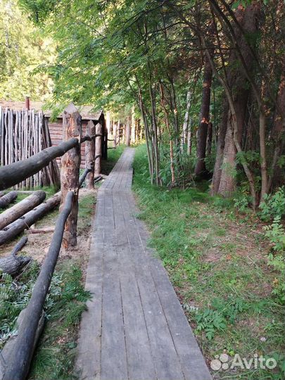 Экскурсии на оз. Савкино