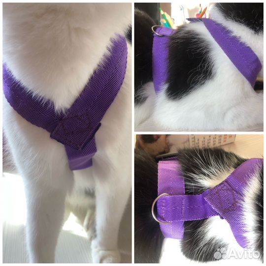 Шлейка для кошки