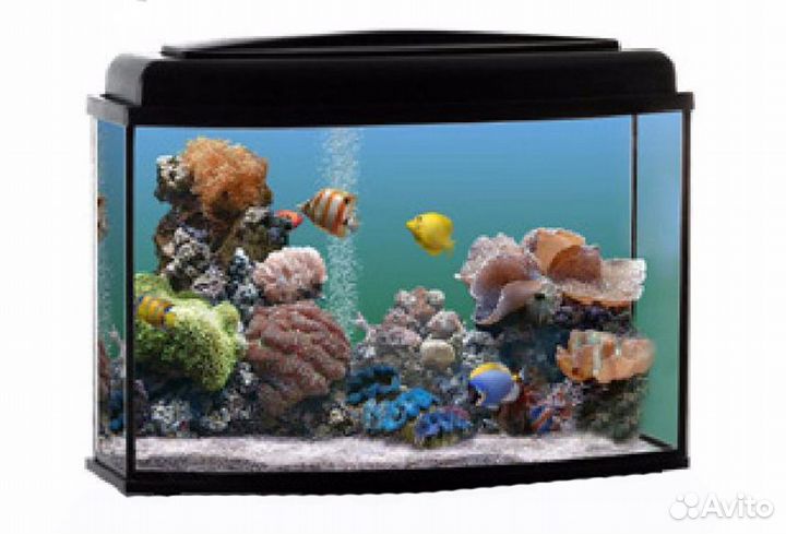 Аквариумы, террариумы, черепашник рыбки и растения