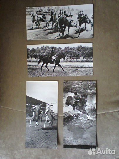 Набор фотографий