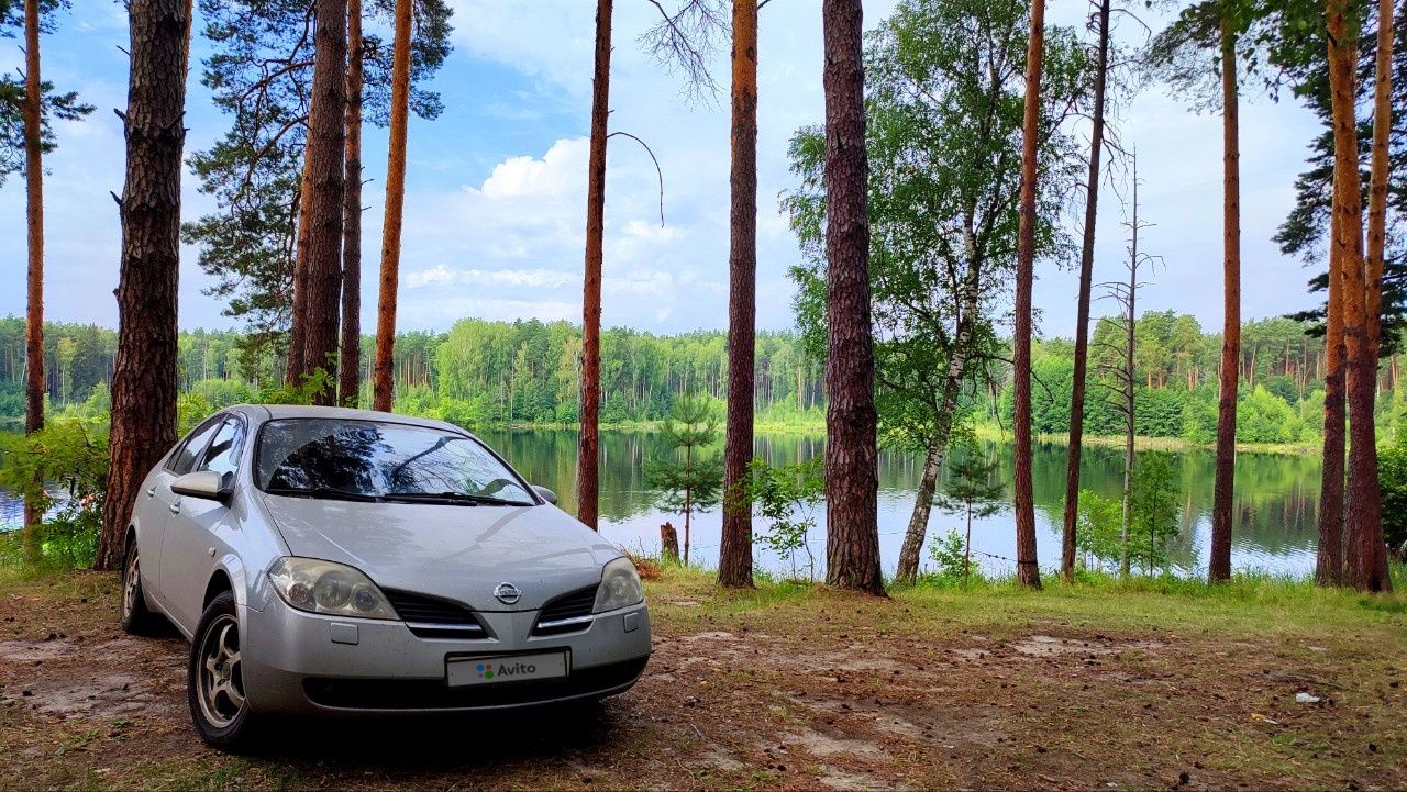 Nissan Primera: фото владельца