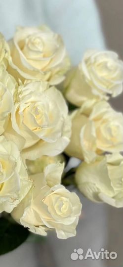 Купить розы/букет/цветы/композиции/Тольятти/Самара