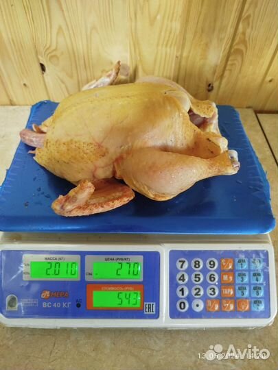 Мясо домашнего бройлера