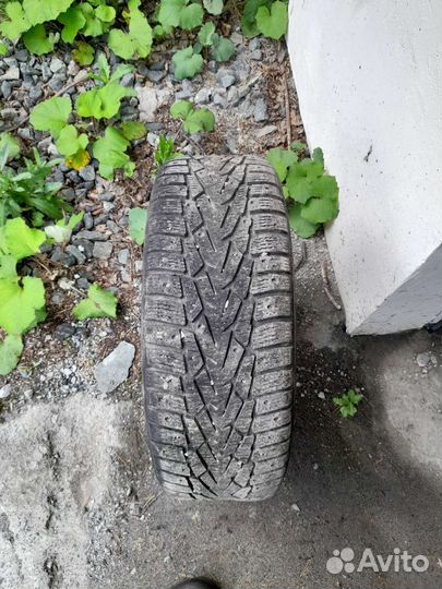 Nokian Tyres Nordman 7 205/55 R16