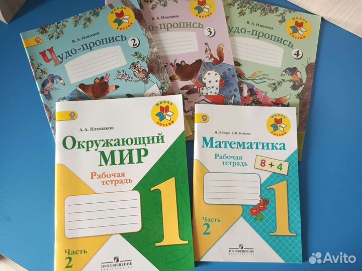 Рабочие тетради 1 класс школа россии