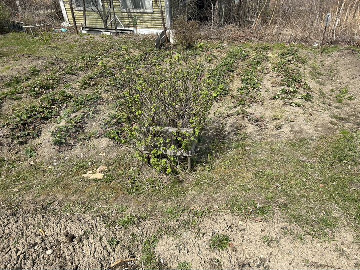 Дача 25 м² на участке 6 сот.